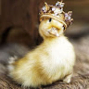 Meet your Posher, Vya